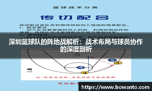 深圳篮球队的阵地战解析：战术布局与球员协作的深度剖析