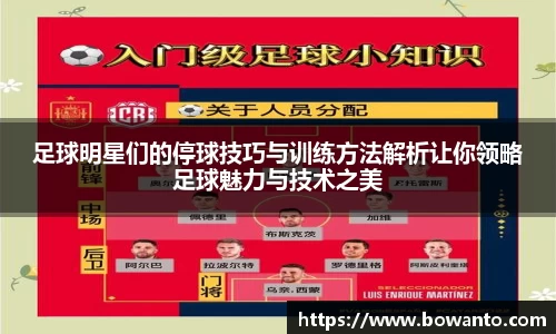 3377体育官网入口