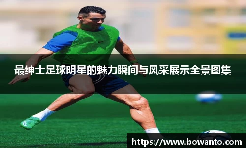 3377体育官网入口