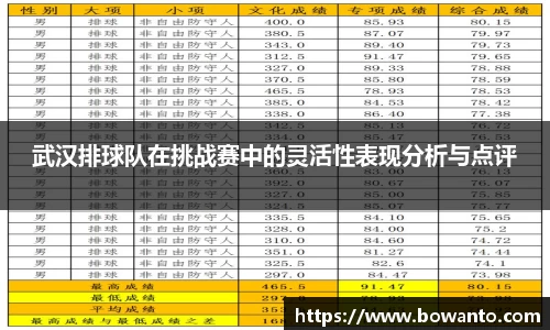 3377体育官网入口